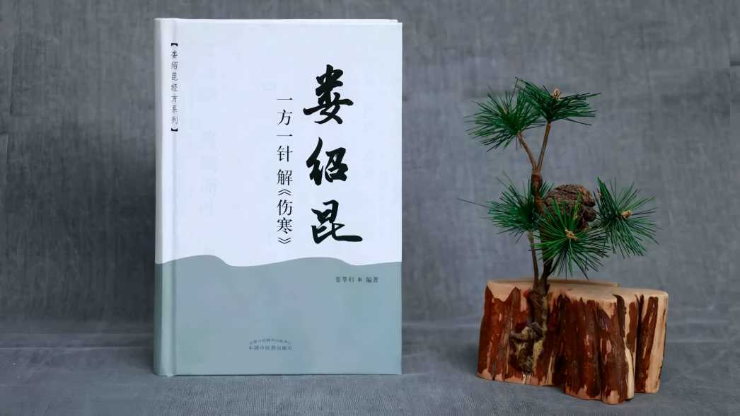 One Formula, One Needle: Understanding Shanghan Lun